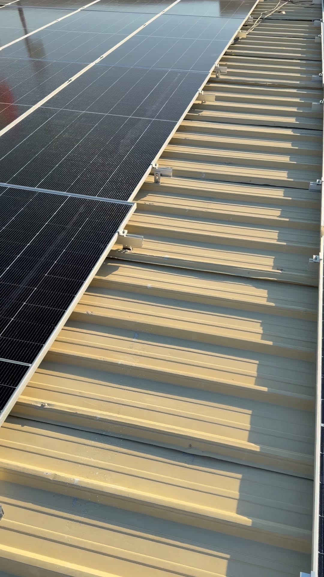 Mounting clamps holding solar panels on the ribs of a metal roof